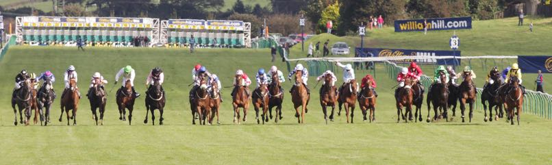 Ayr Gold Cup